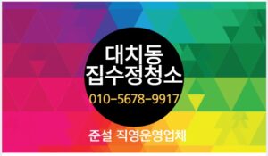 대치동집수정청소