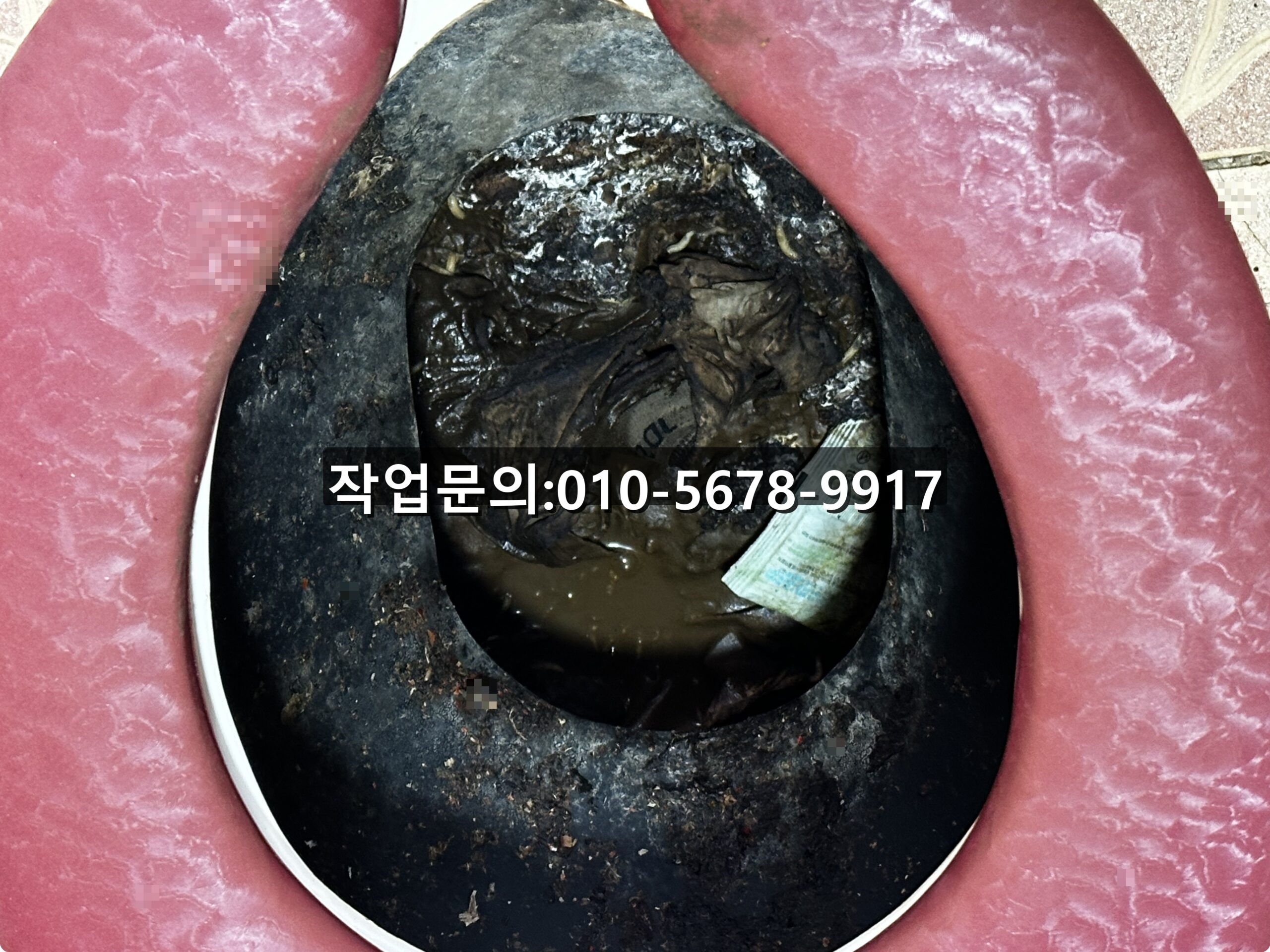 금천구 시흥동 등산로 화장실 간이정화조 내부 오염물과 쓰레기 상태